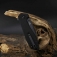 N CJRB Cutlery Riff Black G10 Black Blade J1928-BBK