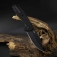 N CJRB Cutlery Riff Black G10 Black Blade J1928-BBK