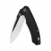 N� QSP Knives Woodpecker Black Titanium QS116-DII