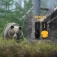 Dzwonek odstraszajcy R-EDY Beware Bell Signal Yellow RE-001-YL