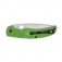 N Spyderco Native Chief Salt Green C244PGR