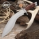 Kukri United Cutlery Gil Hibben GH5095